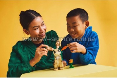 ����������� LEGO reator ��������� ���������� (31162)