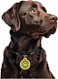    WAUDOG Smart ID  QR  