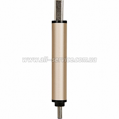  256GB Transcend JetFlash 930C USB 3.2 / Type-C Gold-Black (TS256GJF930C)