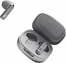  JBL Live Flex Silver (JBLLIVEFLEXSVR)
