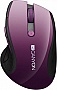  Canyon CNS-CMSW01P Wireless Purple/Black (CNS-CMSW01P)