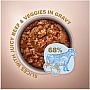     Club 4 Paws Selection         85 (4820215368063)
