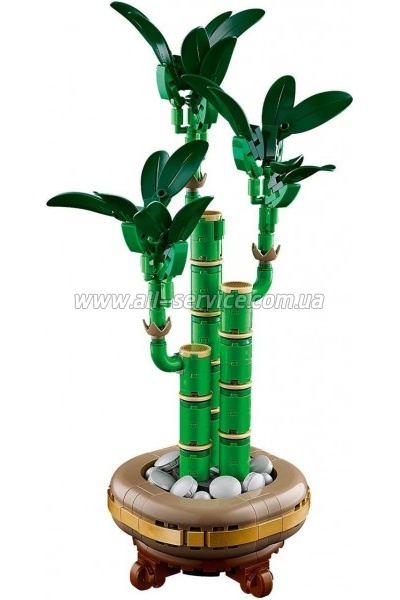 ����������� LEGO Botanicals ������ ������� (10344)