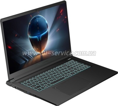  Thunderobot 911 X17 (911X17-i7136H56C1Q165MBD)