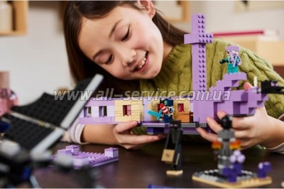  LEGO Minecraft      (21264)
