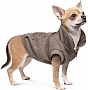  Pet Fashion Harry XS2 (4823082430109)