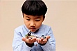 ����������� LEGO Star Wars ��������� �������� ���������� � ���� (75436)