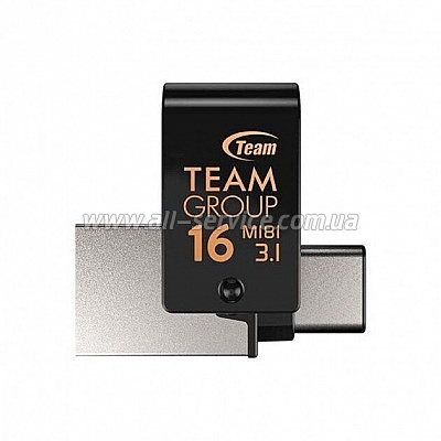  16GB Team M181 Type-C (TM181316GB01) Black