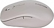  Canyon MW-12 Wireless/Bluetooth Beige (CNS-CMSW12BG)