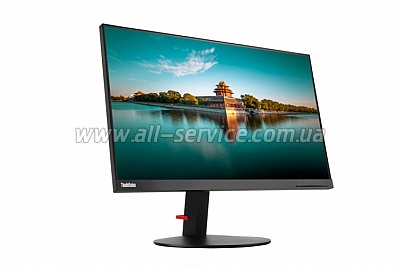  23.8" Lenovo ThinkVision T24i-19 (61D6MAT2UA)