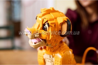  LEGO Disney Classic     (43247)