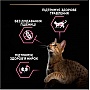     Purina Pro Plan Delicate Lamb    3 (7613035846708)