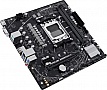   ASUS PRIME A620M-K