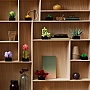  LEGO Botanicals  (10309-)