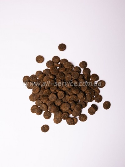     Savory Large Breeds rich in Fresh Turkey and Lamb 12 (4820232630242)