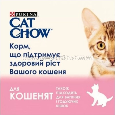     Purina Cat Chow       85  (8445290426536)