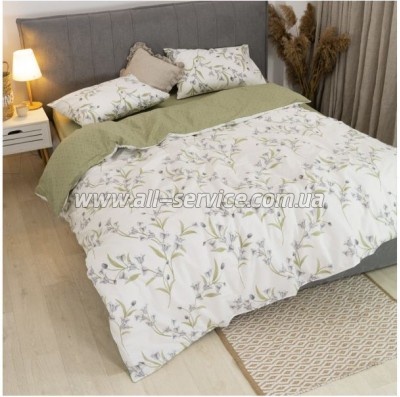   Viluta 24277   (24277_pl)