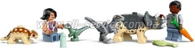  LEGO Jurassic World     (76963)