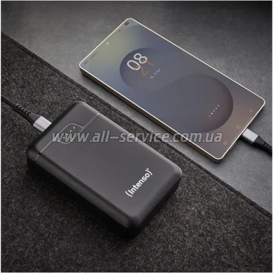 ������� ������������� Intenso B10000 10000mAh Black (7320530)