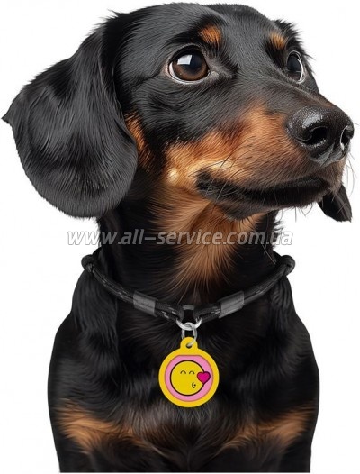    WAUDOG Smart ID  QR  "  ",  25  (225-0187)