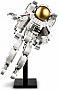 ����������� LEGO Creator ��������� 647 ������� (31152)