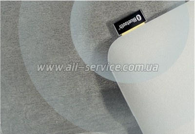 Bluetooth- TP-Link UB4A nano (UB4A)