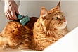  FURminator       S (4048422141228)