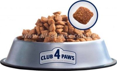    Club 4 Paws    2  (4820083909276)