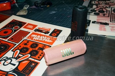   JBL Flip 7 Pink (JBLFLIP7PINK)