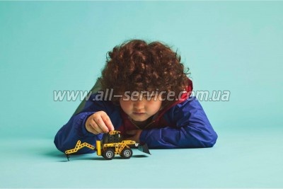 ����������� LEGO Technic ����������-��������� (42197)