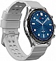 - Globex Smart Watch Titan (silver)