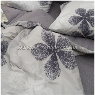   Viluta 24269   (24269_dv)