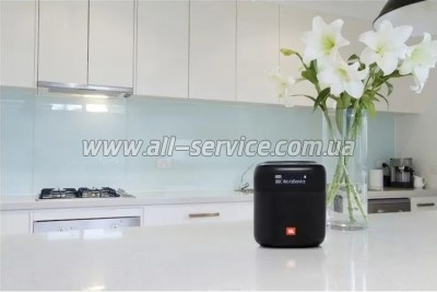   JBL Tuner XL FM Black (JBLTUNERXLBLKEUNA)