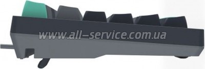  A4Tech FS300 FS Switches USB Panda Rock Climbin (4711422003086)