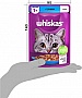     Whiskas    85  (5900951302381)
