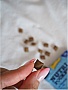    GimCat Nutri Pockets Fish  60  (4002064419633)
