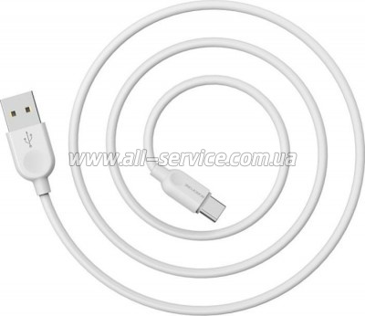 ���� ������ USB 2.0 AM to USB-C 1.0m 2.4A PVC BX14 white BOROFONE (6957531089995)