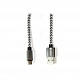  PowerPlant USB 2.0 AM - Micro B, 1 grey (CA910212)