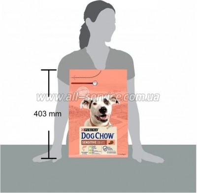     Purina Dog Chow  ,       2.5 (7613034488268)