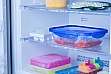    PYREX CK&GO (283PG00)