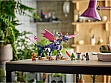  LEGO NINJAGO ,   (71842)