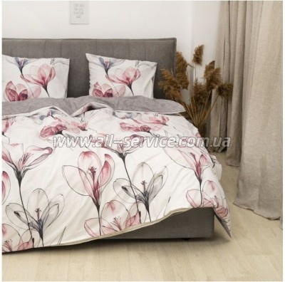 ���������� ����� Viluta 24325 ������� ���������� (24325_pl)