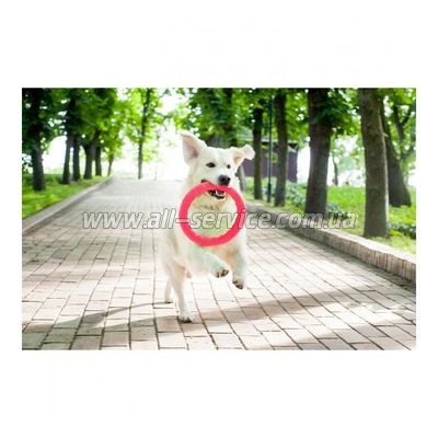 ������ ��� ����������� ��� ����� Collar PitchDog 17�� ������� (62367)