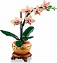 ����������� LEGO Botanicals ̳�� ������� (10343)