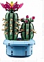 ����������� LEGO Botanicals ������ ������� (11509)