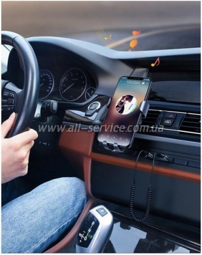 FM  Ugreen CM309 Black (70601)