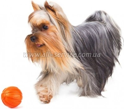    Liker  7  (6294)