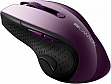  CANYON CNS-CMSW01P Wireless Purple/Black (CNS-CMSW01P)