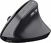  Trust Bayo 2 Ergonomic Wireless/USB-A Black (25145)