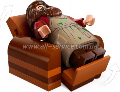 LEGO Harry Potter  :   896  (76428)
